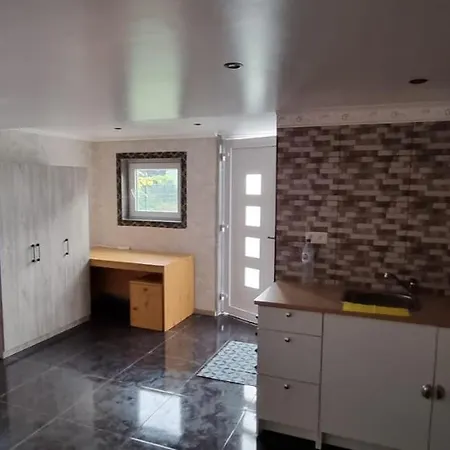 Alex Studio אורחן גנט