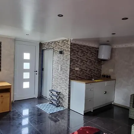 Alex Studio גנט